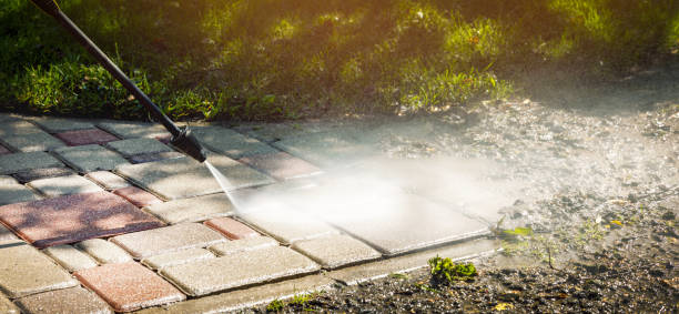 Best Fence Cleaning  in The Meadows, FL