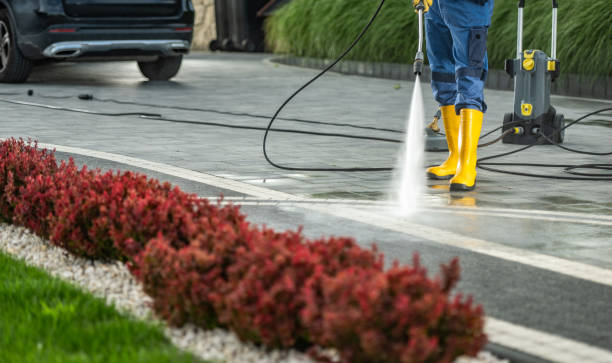 Best Restaurant Pressure Washing  in The Meadows, FL